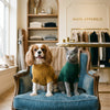 Cat clothing