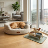 Dog Articles