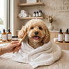 Dog Grooming