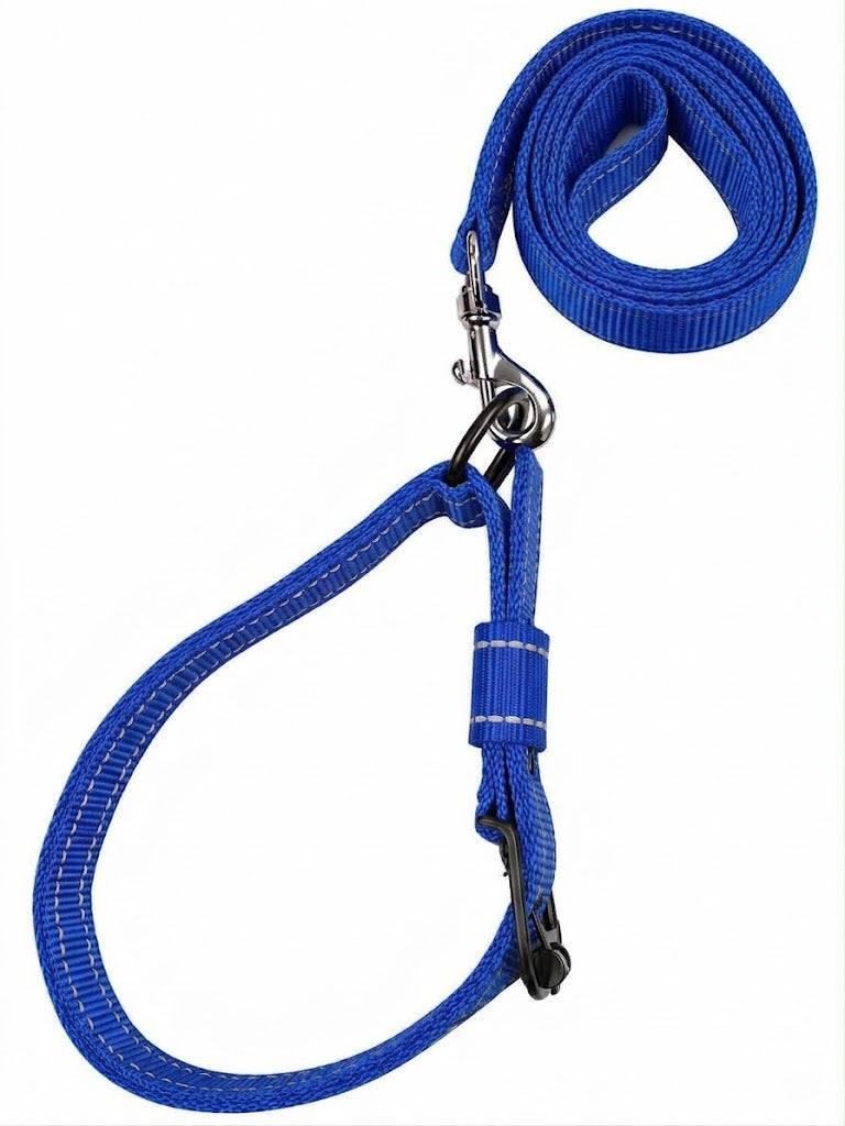 BD REFLECTING LEASE & COLLAR SET DOG