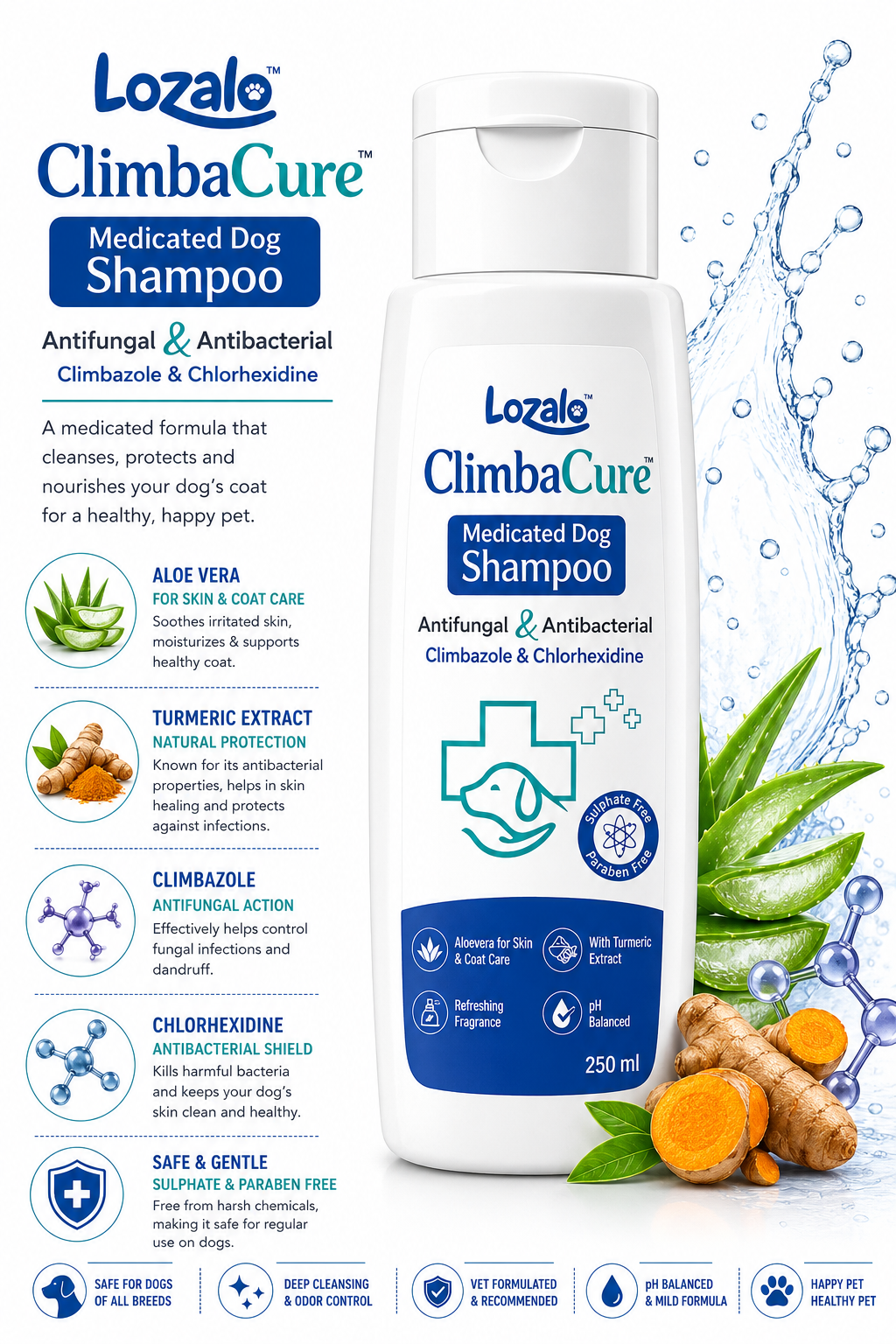LOZALO MEDICATED SHAMPOO 250ML