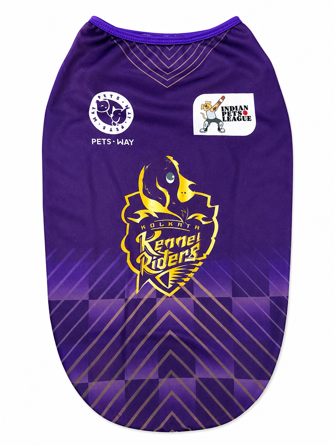 JERSEY INDIA OR IPL TEAM