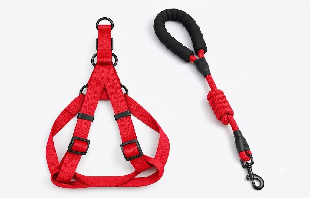 ROPE LEASE AND HARNESS SET DOG