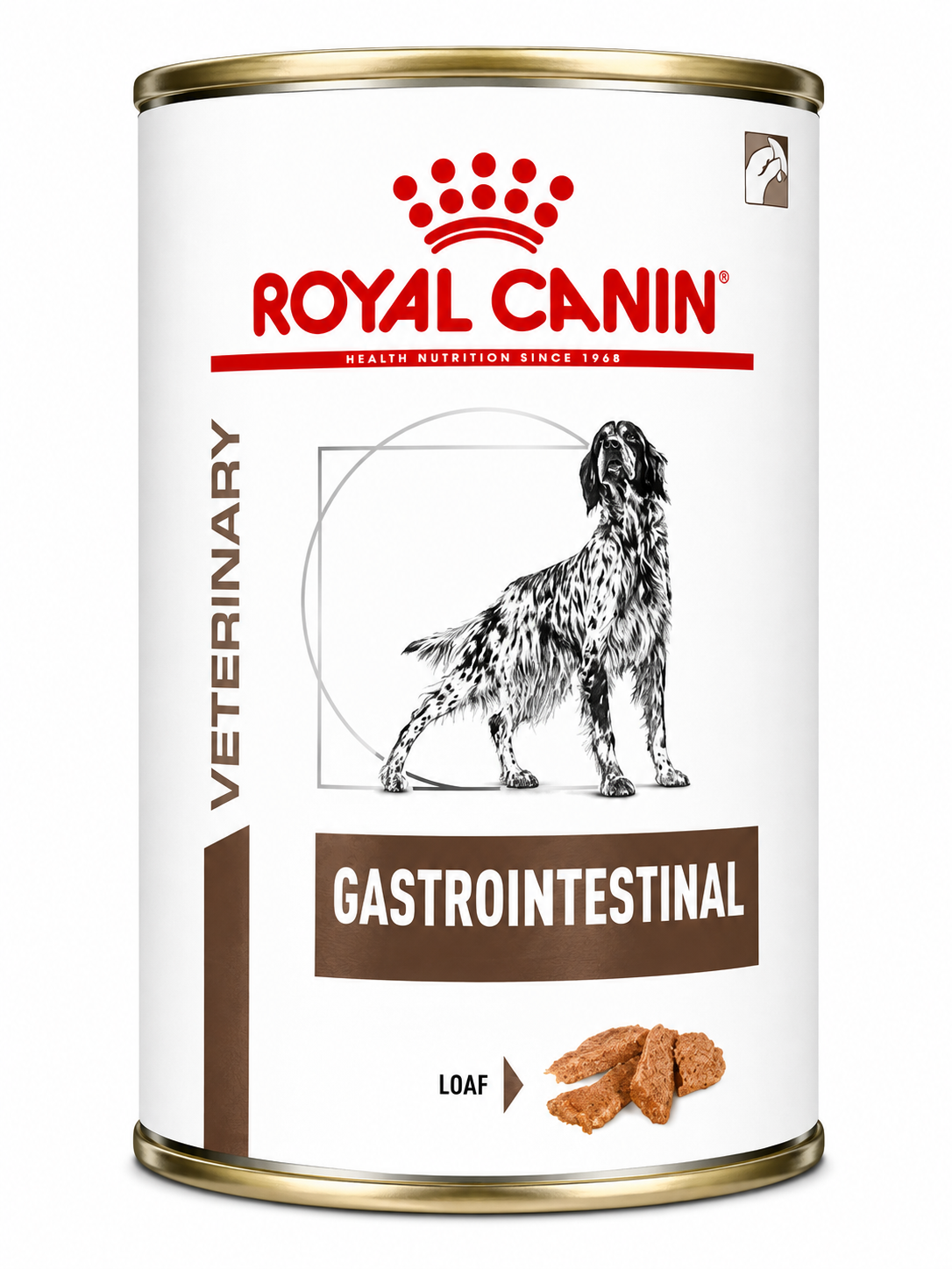 ROYAL CANIN INTESTINAL DOG CAN 400GMS