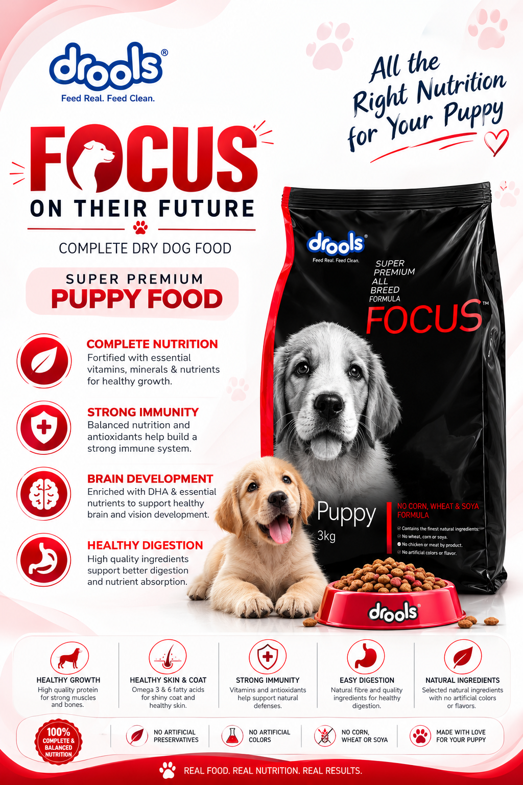 DROOLS FOCUS PUPPY 3KG