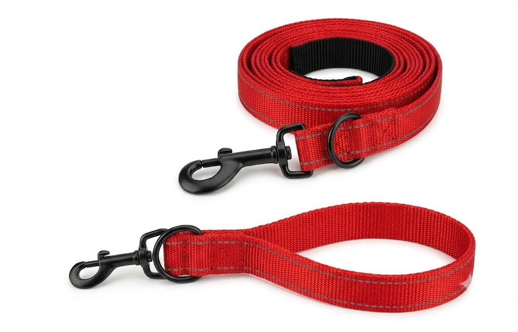 BD REFLECTING LEASE & COLLAR SET DOG