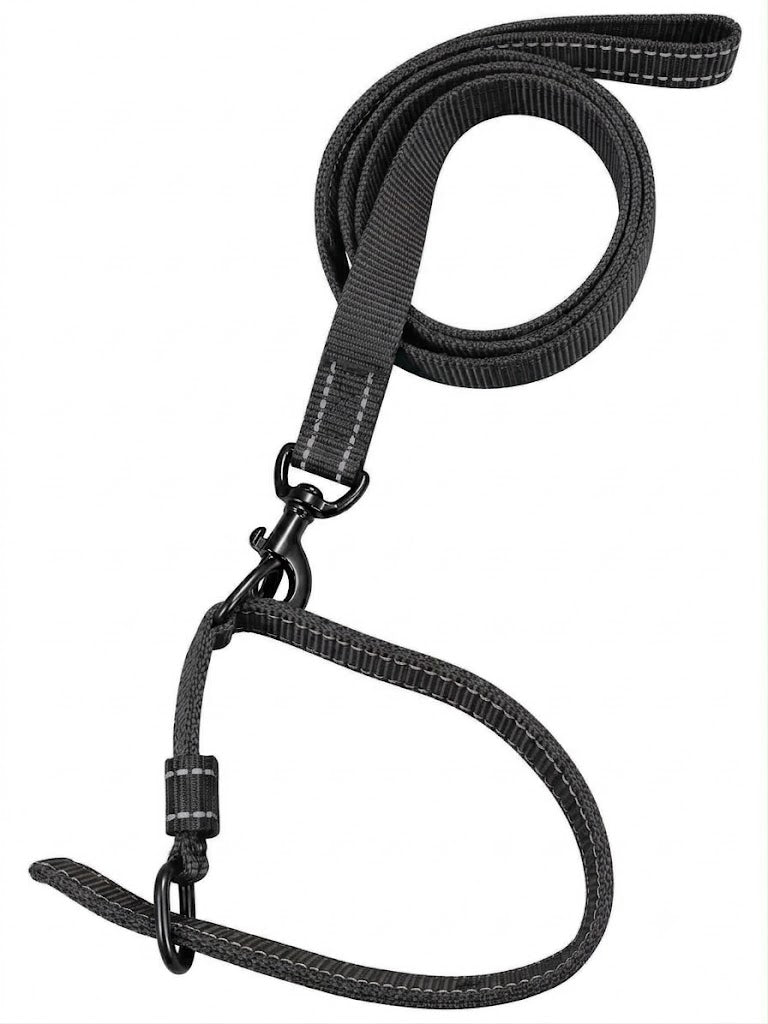 BD REFLECTING LEASE & COLLAR SET DOG
