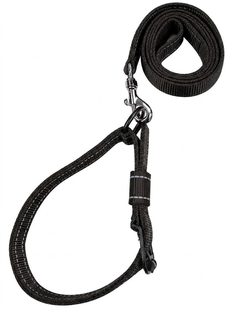 BD REFLECTING LEASE & COLLAR SET DOG