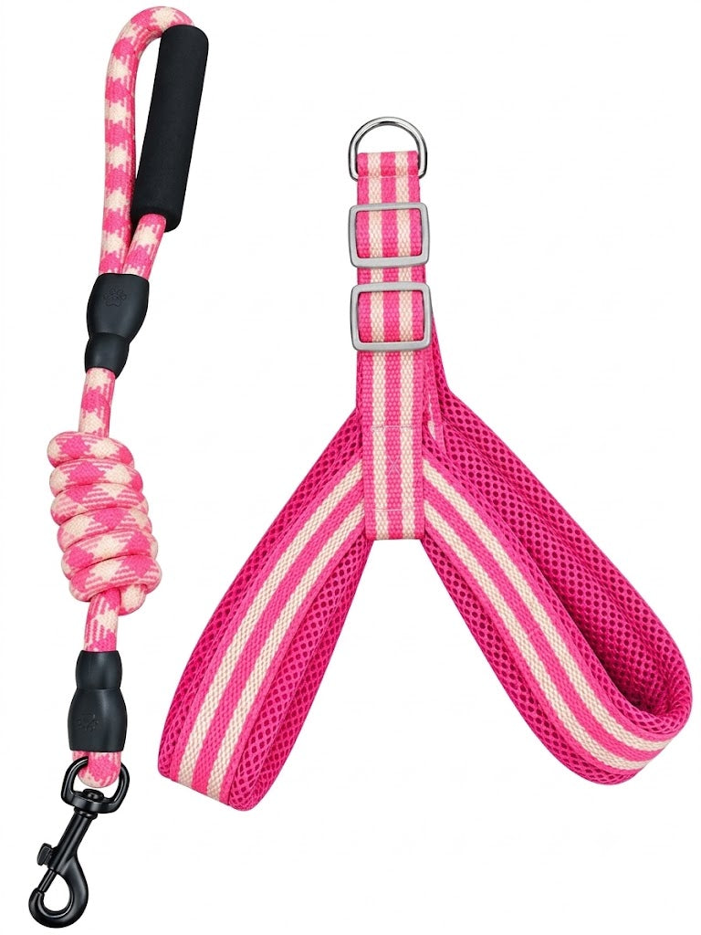 ROPE LEASE AND HARNESS SET DOG