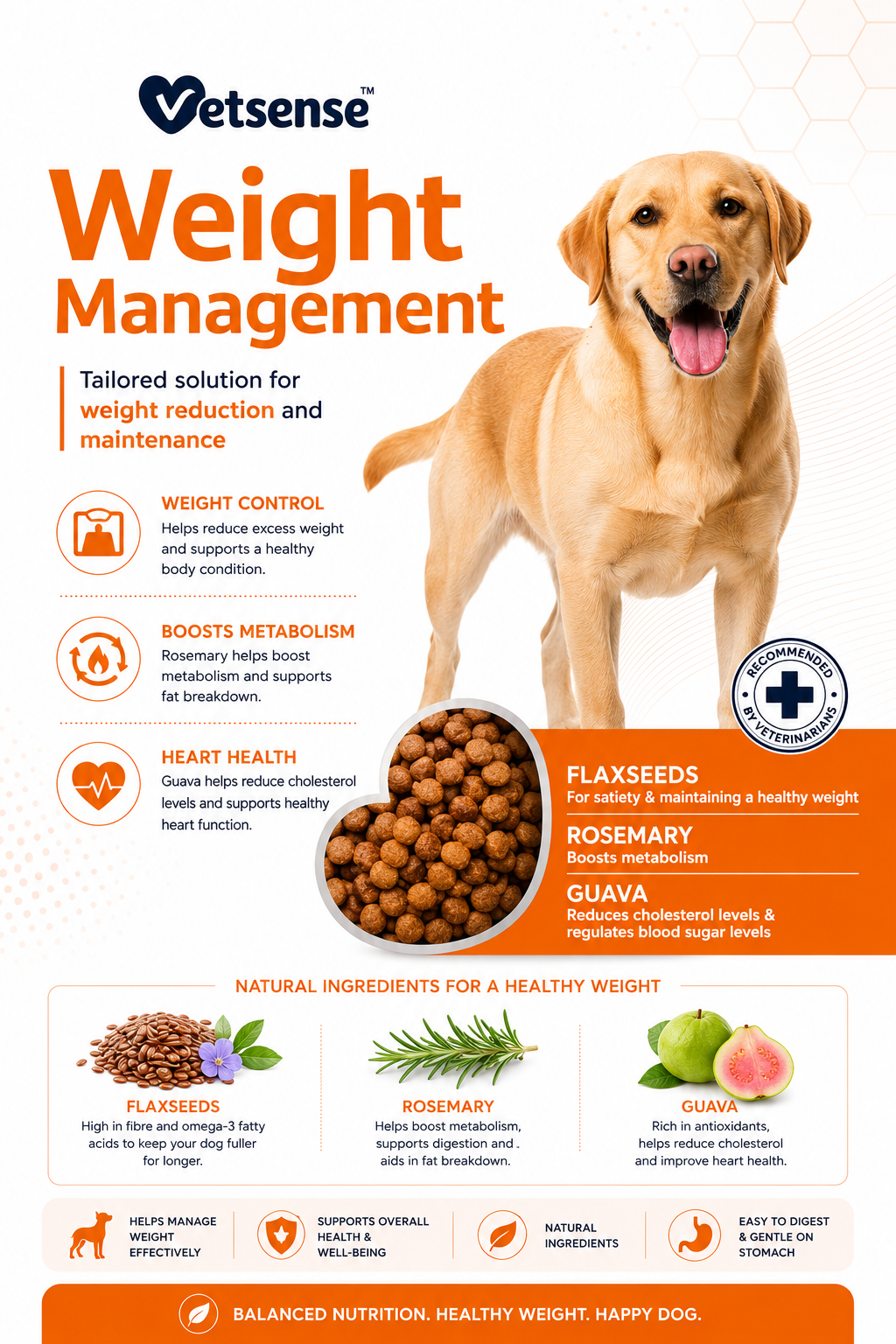 VETSENSE WEIGHT MANAGEMENT 2KG