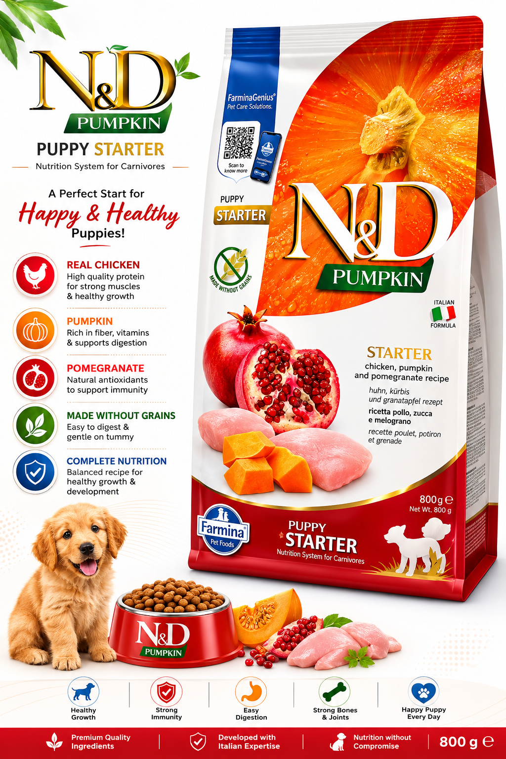 N&D PUMKIN & PUPPY  STARTER ALL BREED