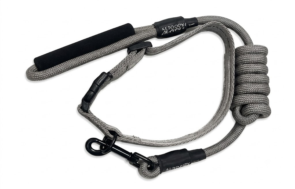 CANINE ROPE LEASE & COLLAR SET DOG