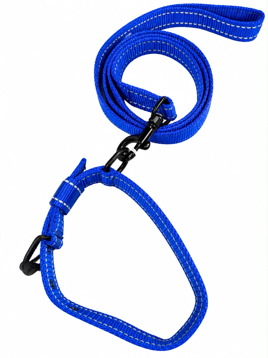 BD REFLECTING LEASE & COLLAR SET DOG