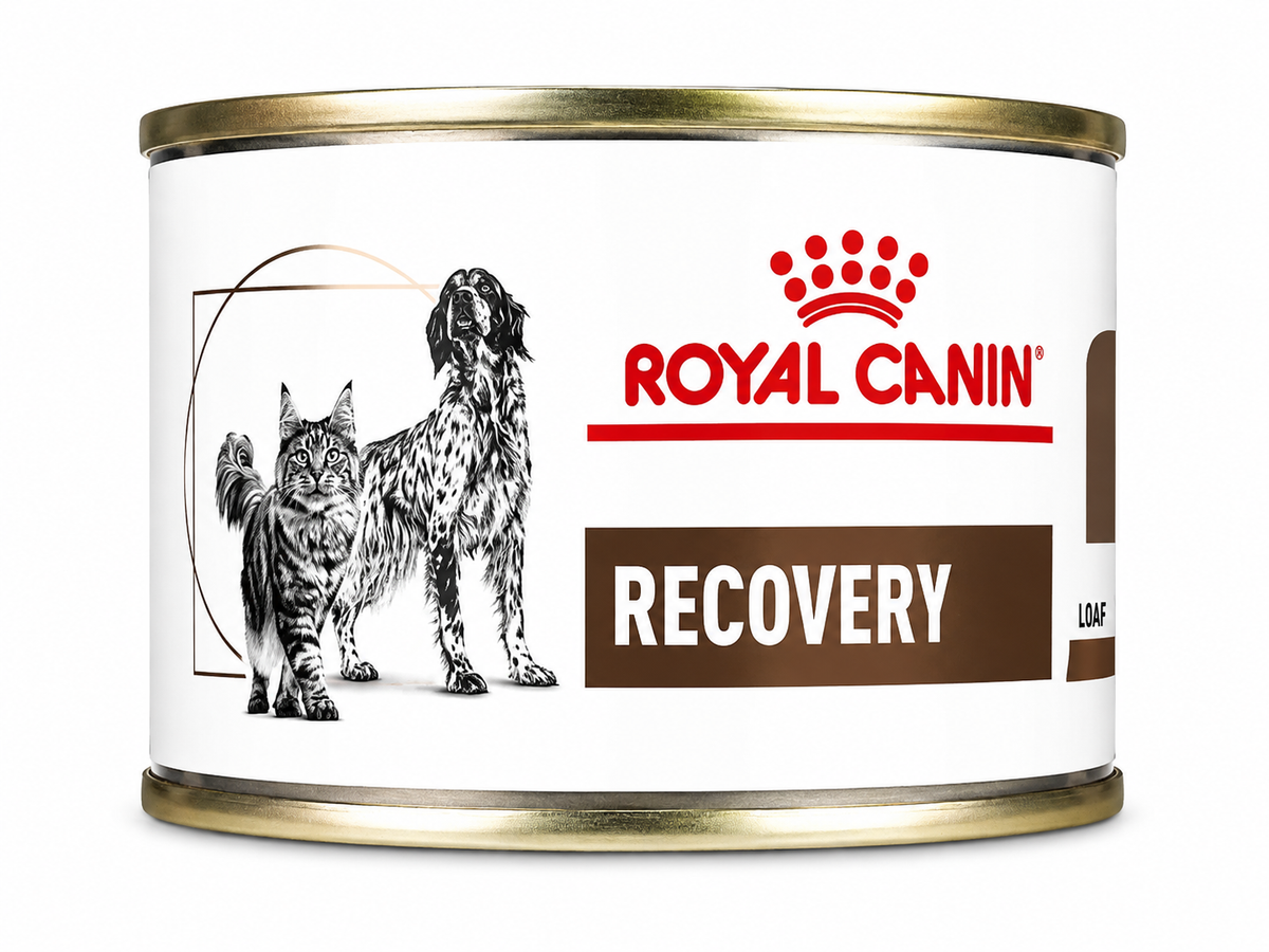 ROYAL CANIN RECOVERY CAN 195G