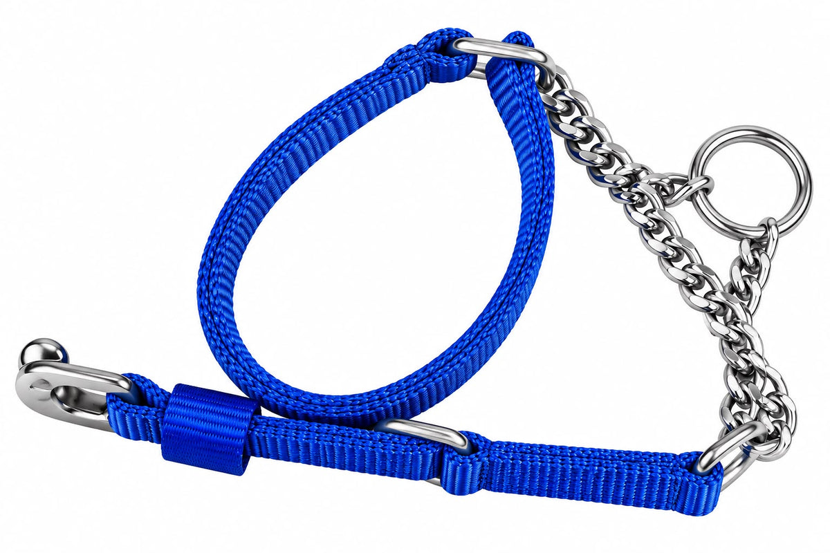 DOGMATIC CHOCK COLLAR MEDIUM DOG