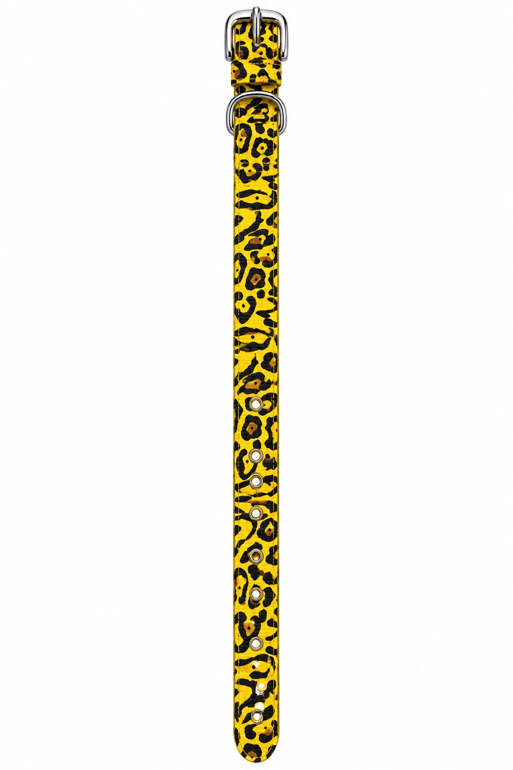 DOGMATIC PRINTED COLLAR DOG