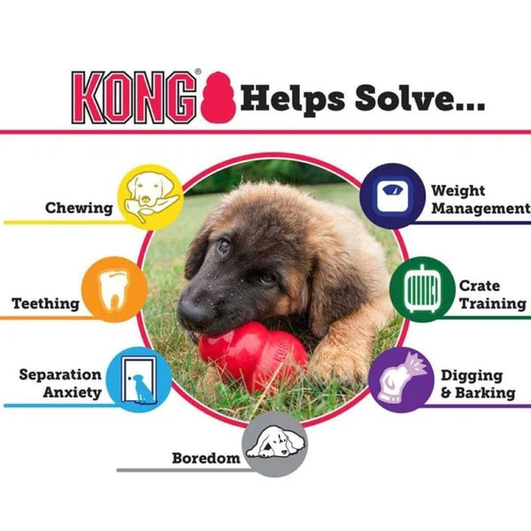 Kong Classic Toy for Dogs (Red) | For Average Chewers (Copy)