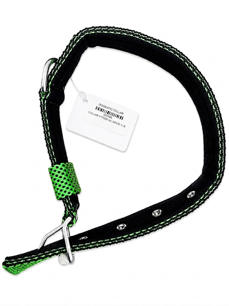 DOGMATIC DOTTED COLLAR DOG