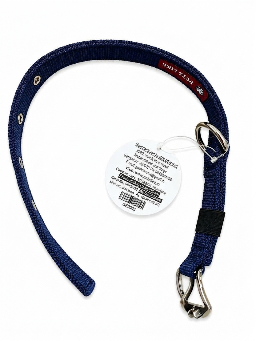 GOLDEN EYE DOG COLLAR 25MM