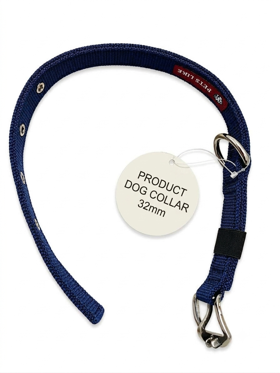 GOLDEN EYE DOG COLLAR 32MM