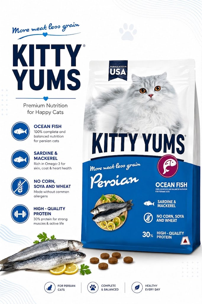 KITTY YUMS OCEAN FISH PERSIAN