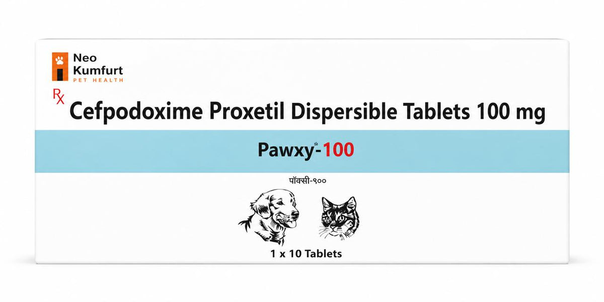 Neo Kumfurt PAWXY TB
