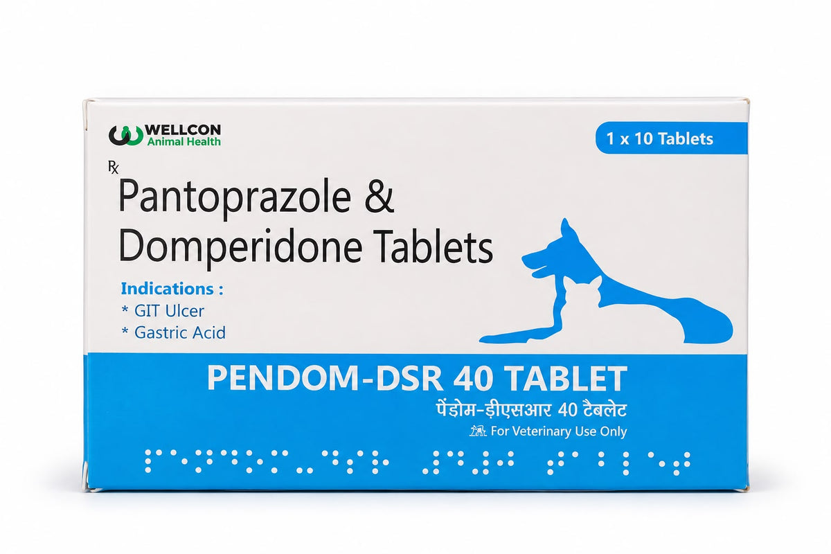 WELLCON PENDOM DSR 40MG
