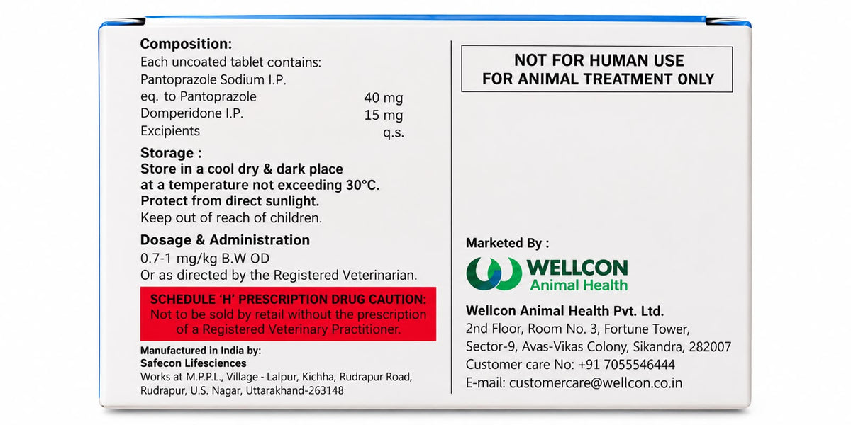 WELLCON PENDOM DSR 40MG