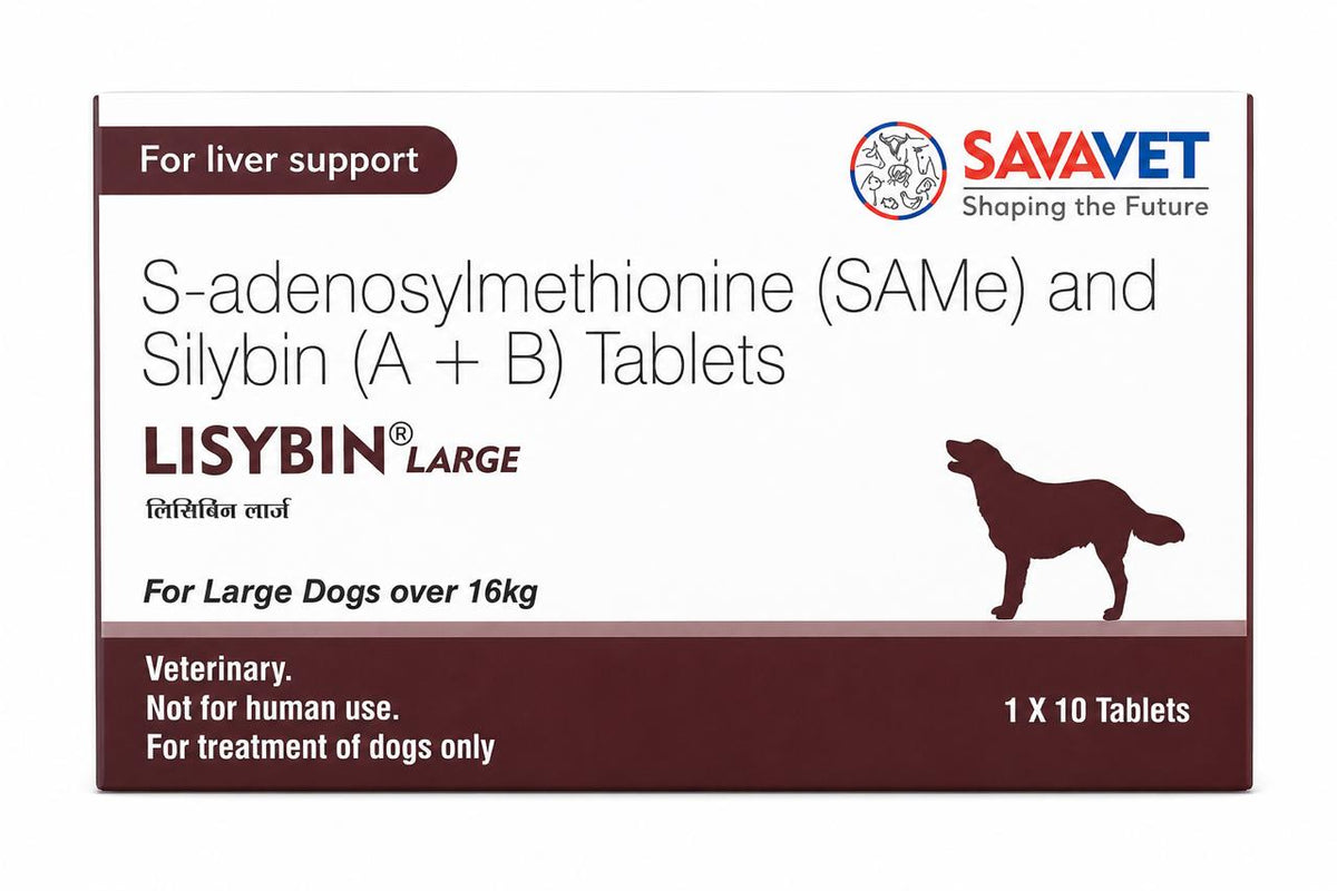 LISYBIN TAB