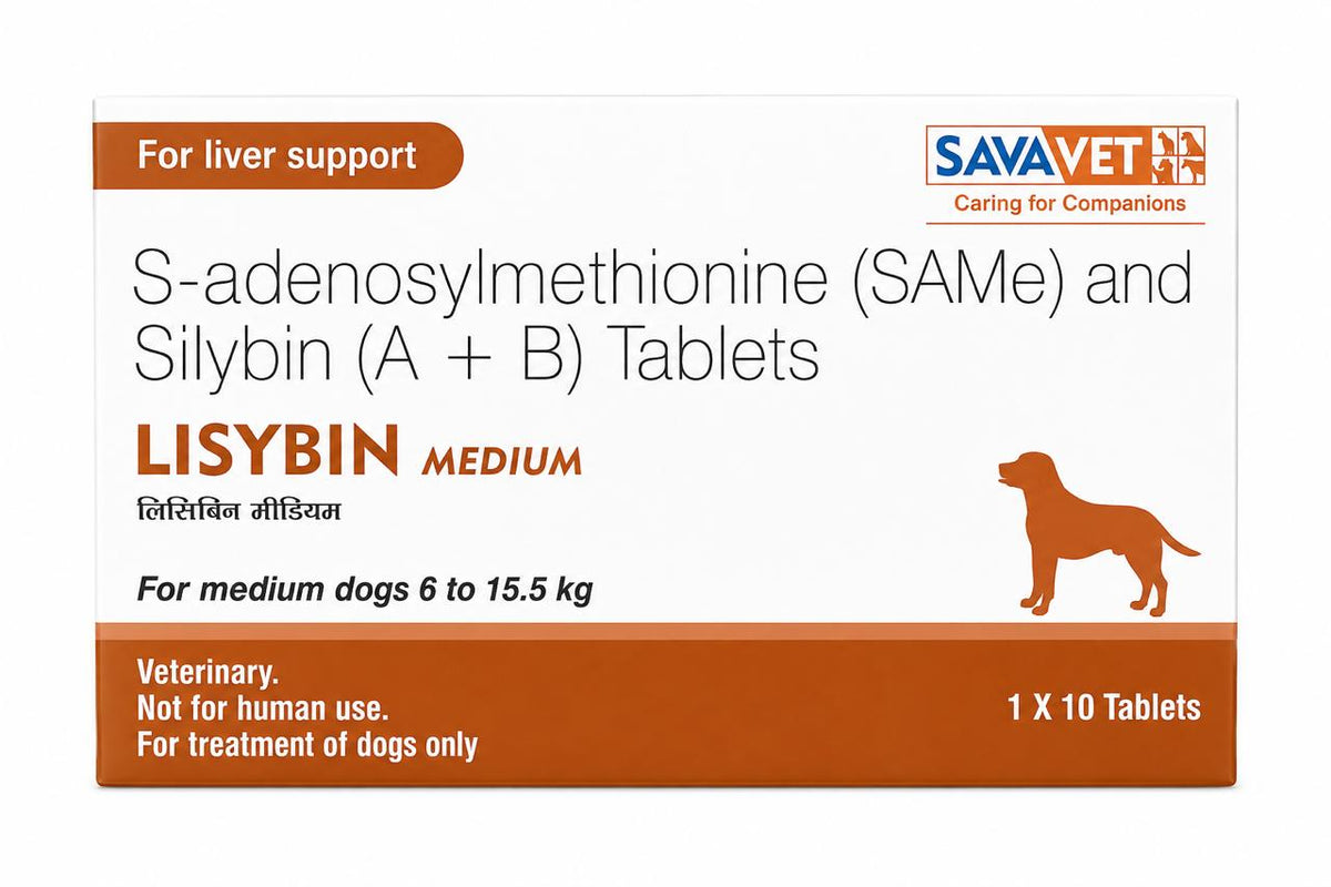 LISYBIN TAB