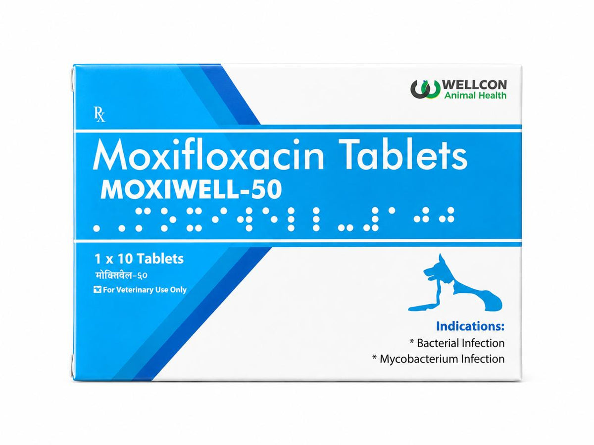 WELLCON MOXIWELL Tab