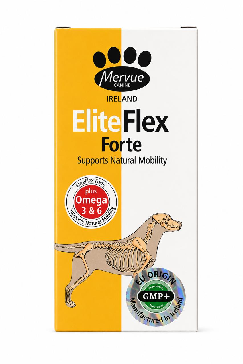 ELITE FLEX Forte SYRUP