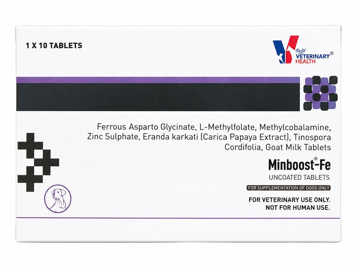 MINBOOST-FE Tab