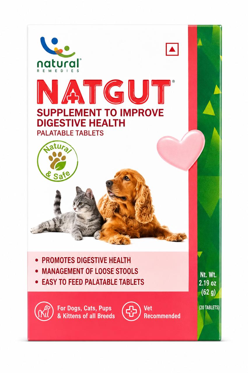 NATGUT FOR Digestive Health 20 Tab
