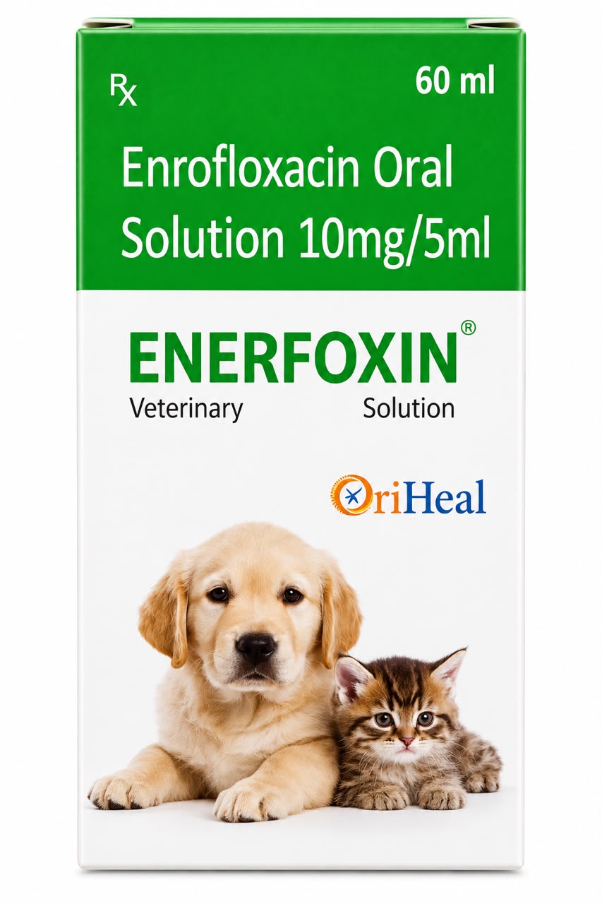 ENERFOXIN SYRUP 60ML