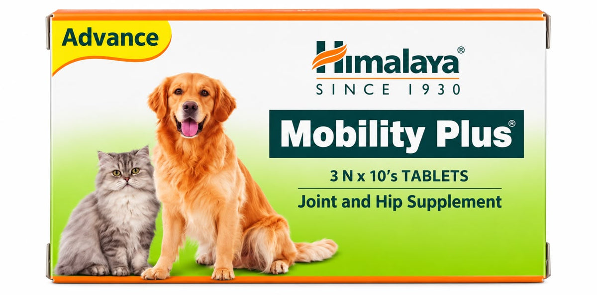 MOBILITY-PLUS Tab