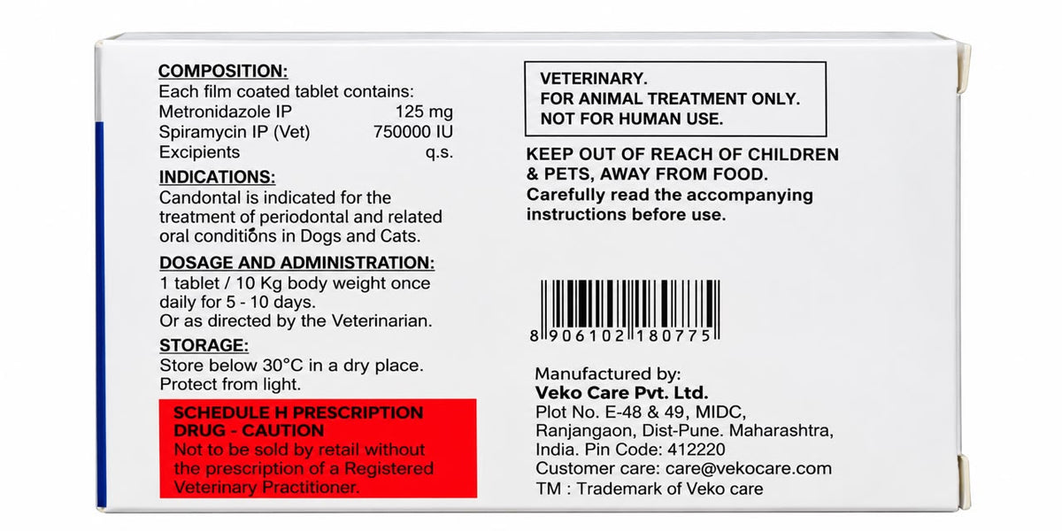 MOBILITY-PLUS Tab