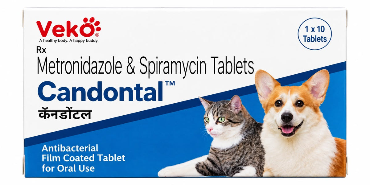 CANDONTAL Tab