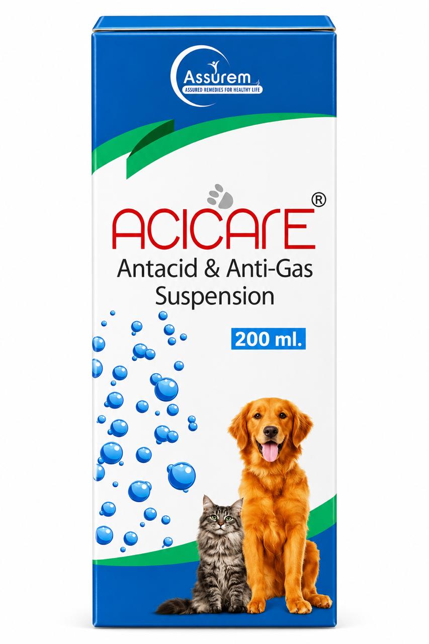 ACICARE antacid SYRUP 200ML