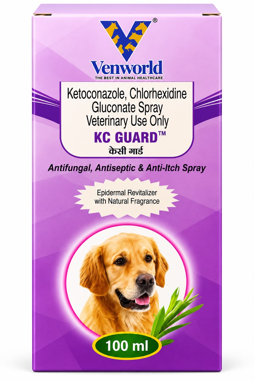 KC GUARD 100ml