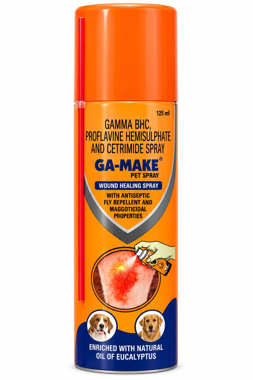 GA-MAKE SPRAY