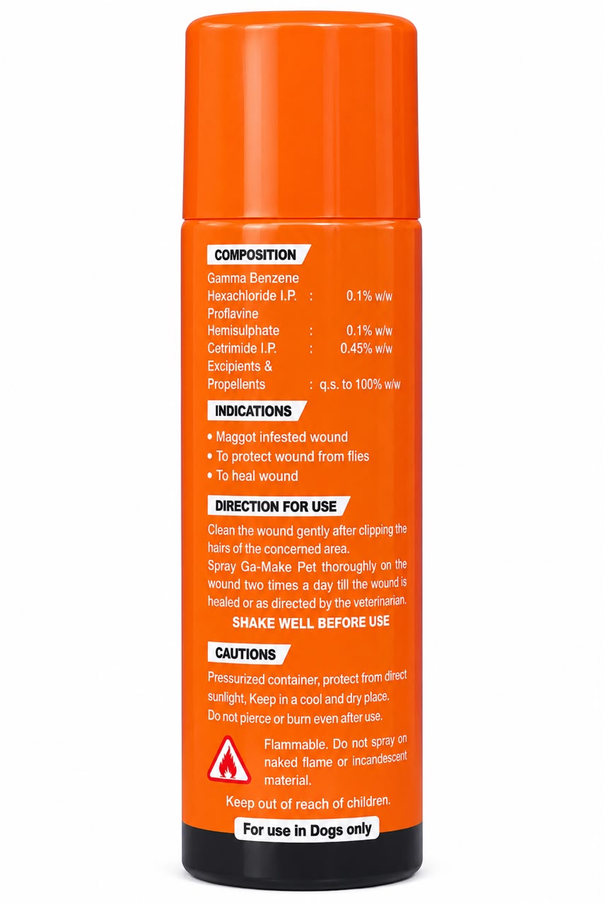 GA-MAKE SPRAY
