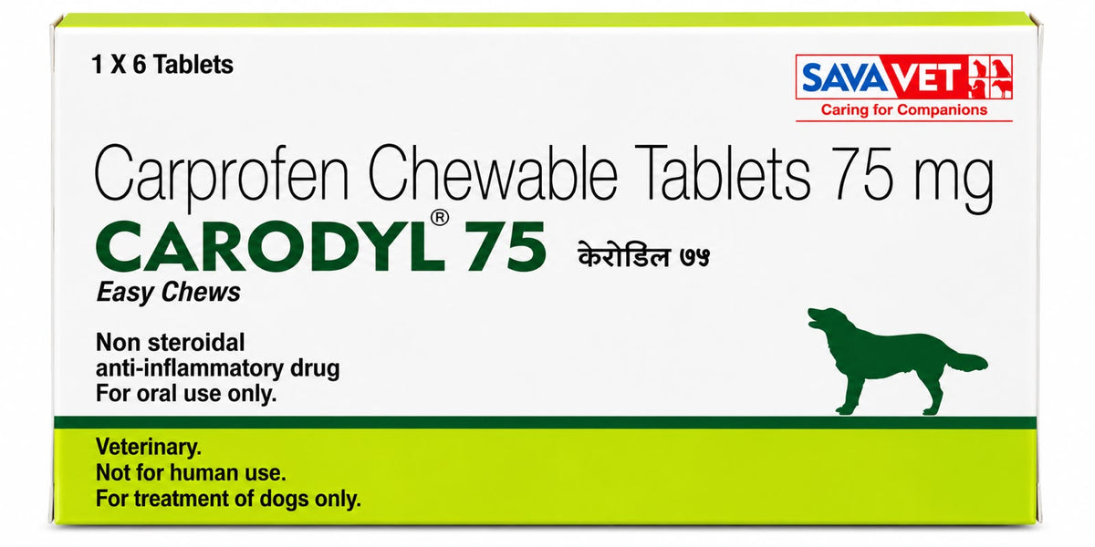 CARODYL Chewable Tab