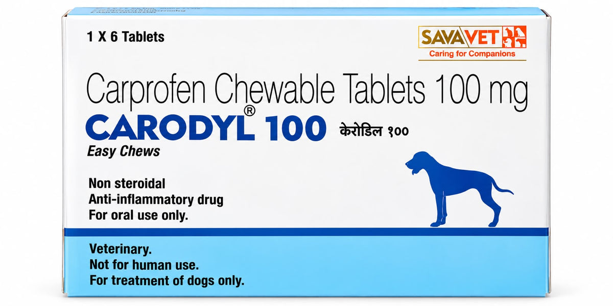CARODYL Chewable Tab