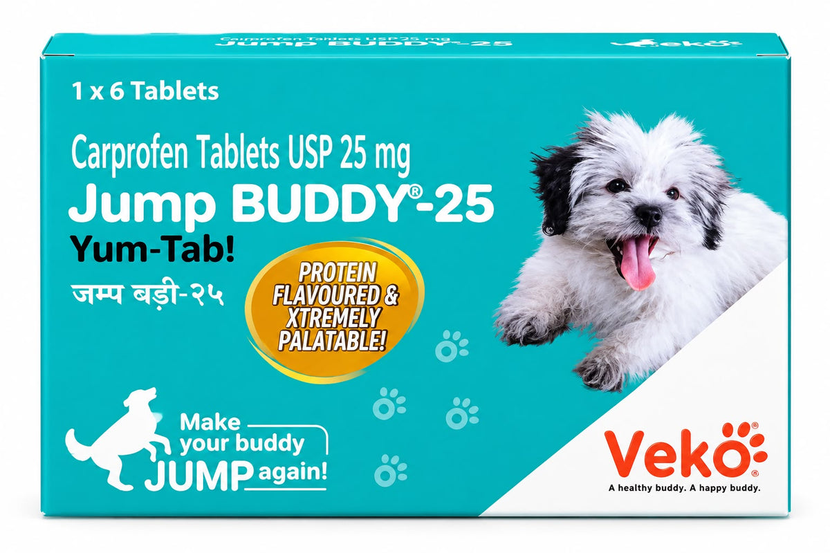 JUMP BUDDY-25