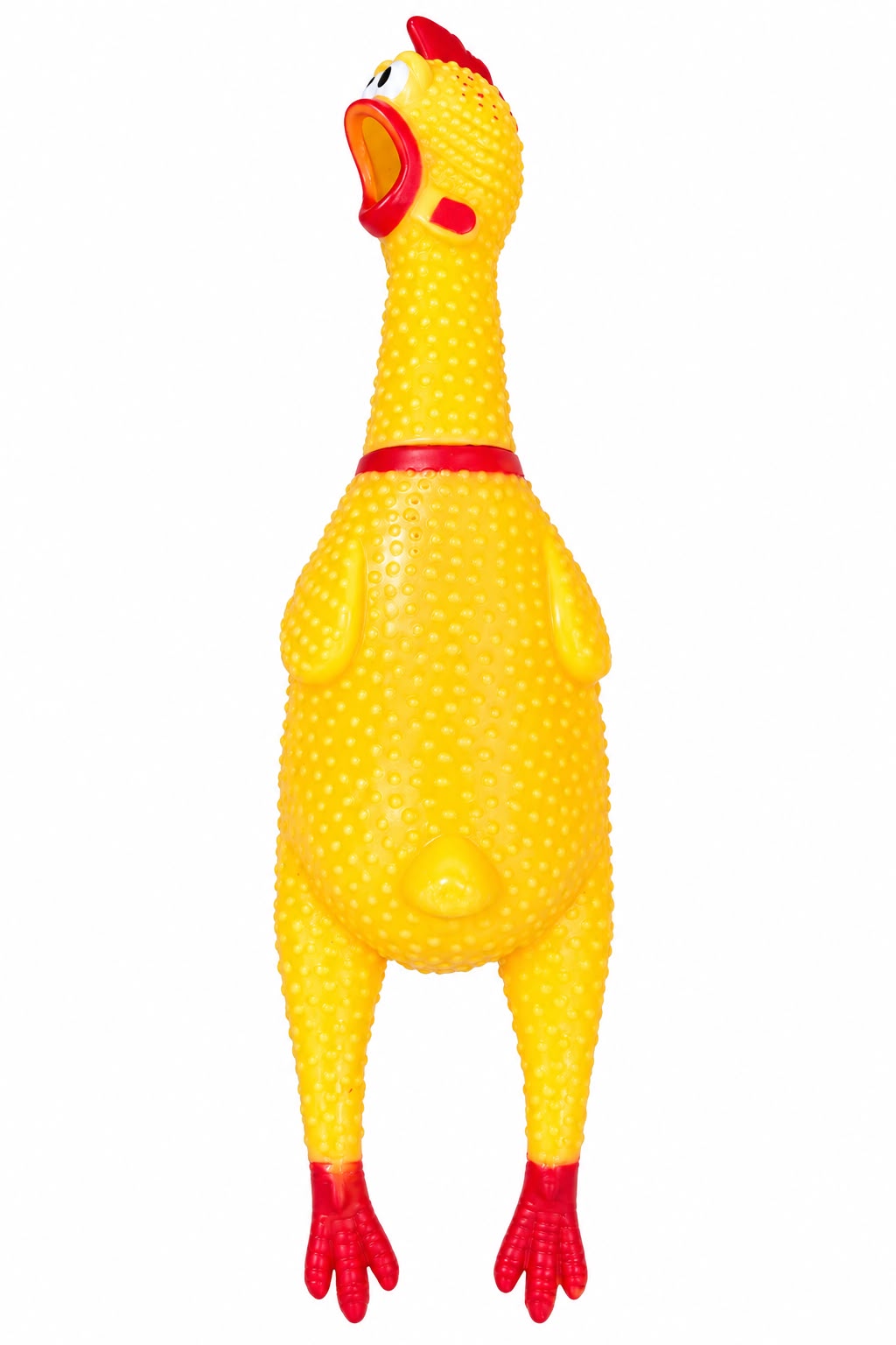 SQUEAKY CHICKEN