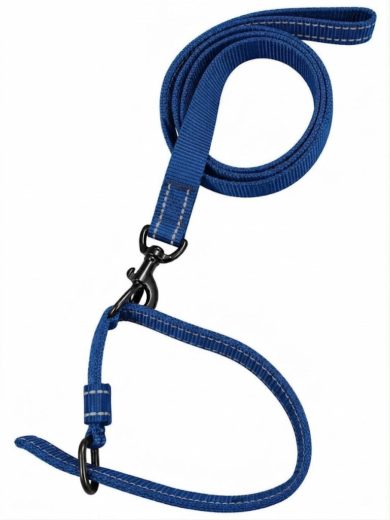 BD REFLECTING LEASE & COLLAR SET DOG