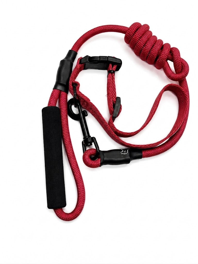 CANINE ROPE LEASE & COLLAR SET DOG